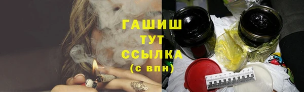 гидра Надым