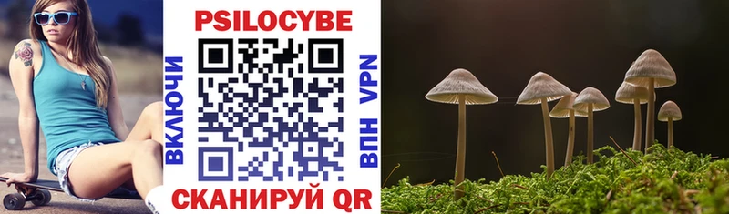Псилоцибиновые грибы Psilocybe  даркнет сайт  Нижний Тагил 